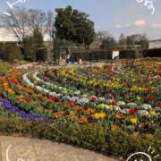 ヒメ日記 2025/05/01 16:38 投稿 さやか 人妻花かんざし