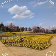 ヒメ日記 2025/05/11 19:11 投稿 さやか 人妻花かんざし