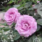 ヒメ日記 2025/05/25 15:04 投稿 さやか 人妻花かんざし