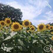 ヒメ日記 2025/07/27 14:50 投稿 さやか 人妻花かんざし