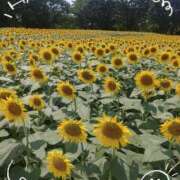 ヒメ日記 2025/08/16 14:07 投稿 さやか 人妻花かんざし