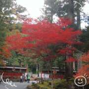 ヒメ日記 2025/10/16 20:12 投稿 さやか 人妻花かんざし