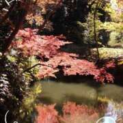 ヒメ日記 2025/10/23 14:49 投稿 さやか 人妻花かんざし