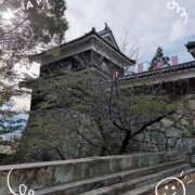 ヒメ日記 2025/11/12 16:59 投稿 さやか 人妻花かんざし