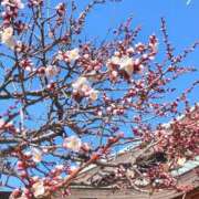 ヒメ日記 2026/01/25 16:31 投稿 さやか 人妻花かんざし