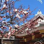 ヒメ日記 2026/02/20 09:16 投稿 さやか 人妻花かんざし