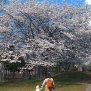 ヒメ日記 2026/03/15 16:49 投稿 さやか 人妻花かんざし