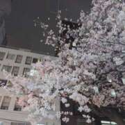 ヒメ日記 2026/03/27 20:46 投稿 さやか 人妻花かんざし