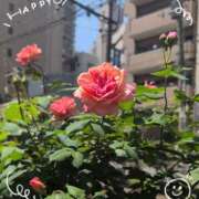 ヒメ日記 2026/04/26 13:42 投稿 さやか 人妻花かんざし