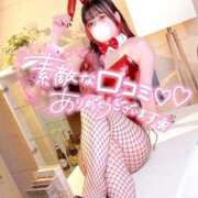 ヒメ日記 2025/03/11 15:00 投稿 不知火舞～まい～ ドMバスターズ 京都店