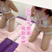 ヒメ日記 2025/04/04 08:01 投稿 不知火舞～まい～ ドMバスターズ 京都店