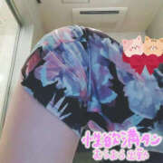 ヒメ日記 2025/02/28 18:08 投稿 中島ゆうこ YESグループ水戸　華女