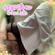 ヒメ日記 2025/06/03 11:12 投稿 中島ゆうこ YESグループ水戸　華女