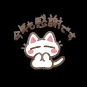 ヒメ日記 2024/12/31 09:18 投稿 らむ（全てに興味あり） 大人の遊園痴「スピーディー」