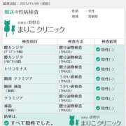 ヒメ日記 2025/11/11 19:08 投稿 らむ（全てに興味あり） 大人の遊園痴「スピーディー」