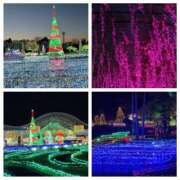 ヒメ日記 2025/12/23 09:38 投稿 らむ（全てに興味あり） 大人の遊園痴「スピーディー」