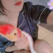 ヒメ日記 2025/06/28 13:45 投稿 あみ かりんと秋葉原