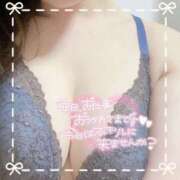 ヒメ日記 2025/08/13 16:01 投稿 せりな 奥様特急長岡店