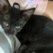 ヒメ日記 2025/09/27 23:53 投稿 もな SOPHIA（ソフィア）