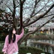 ヒメ日記 2026/03/30 14:03 投稿 もな SOPHIA（ソフィア）