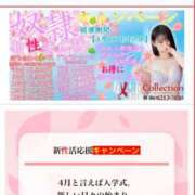 ヒメ日記 2025/04/16 11:10 投稿 ひより 奴隷コレクション