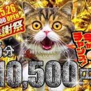 ヒメ日記 2025/05/25 12:13 投稿 ひより 奴隷コレクション
