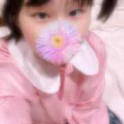 ヒメ日記 2025/06/30 17:17 投稿 ひより 奴隷コレクション