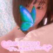 ヒメ日記 2025/07/11 17:31 投稿 ひより 奴隷コレクション