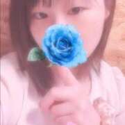 ヒメ日記 2025/07/24 18:06 投稿 ひより 奴隷コレクション