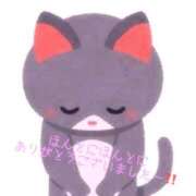 ヒメ日記 2025/08/25 12:17 投稿 ひより 奴隷コレクション