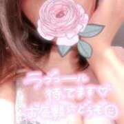 ヒメ日記 2025/09/15 11:48 投稿 ひより 奴隷コレクション