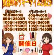 ヒメ日記 2025/11/11 14:25 投稿 ひより 奴隷コレクション
