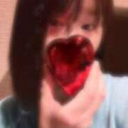 ヒメ日記 2025/12/10 14:27 投稿 ひより 奴隷コレクション