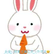 ヒメ日記 2026/01/24 15:05 投稿 ひより 奴隷コレクション