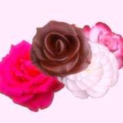 ヒメ日記 2026/02/14 12:39 投稿 ひより 奴隷コレクション