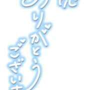 ヒメ日記 2026/02/17 18:31 投稿 ひより 奴隷コレクション