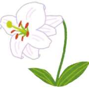 ヒメ日記 2026/02/22 13:27 投稿 ひより 奴隷コレクション