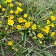 ヒメ日記 2024/04/04 08:48 投稿 広瀬 あん 川崎南町人妻高級ソープ エル・カーヒル(ELCURHIL)秘密の刻