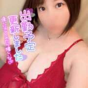 ヒメ日記 2025/09/07 16:07 投稿 あやね ぽっちゃりきぶん