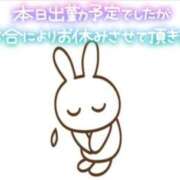 ヒメ日記 2026/07/30 11:32 投稿 あやね ぽっちゃりきぶん