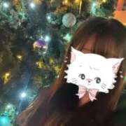 ヒメ日記 2024/12/25 19:53 投稿 ひなた 手コキガールズコレクション