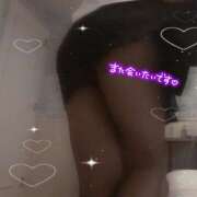 ヒメ日記 2025/03/03 02:21 投稿 高梨　ゆい NADIA神戸店