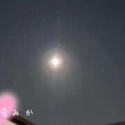 ヒメ日記 2025/10/31 23:10 投稿 山崎みか 月の真珠-五反田-