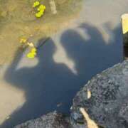 ヒメ日記 2025/12/23 05:18 投稿 るな ぷよステーション 蒲田店