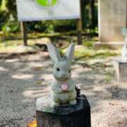 ヒメ日記 2025/12/27 05:18 投稿 るな ぷよステーション 蒲田店