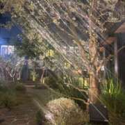 ヒメ日記 2025/12/09 00:01 投稿 かりん 手こき＆オナクラ 大阪はまちゃん