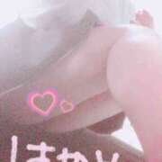 ヒメ日記 2024/12/19 12:00 投稿 はやめ 世界のあんぷり亭 新橋店