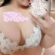 ヒメ日記 2024/12/29 15:55 投稿 りん ふわメロ