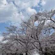 ヒメ日記 2025/04/10 18:25 投稿 りん ふわメロ