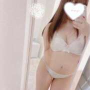 ヒメ日記 2025/07/05 08:15 投稿 りん ふわメロ